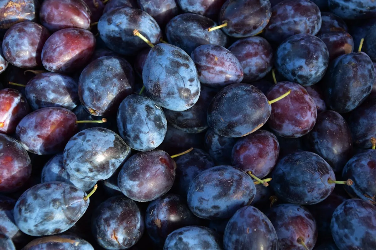 Plum