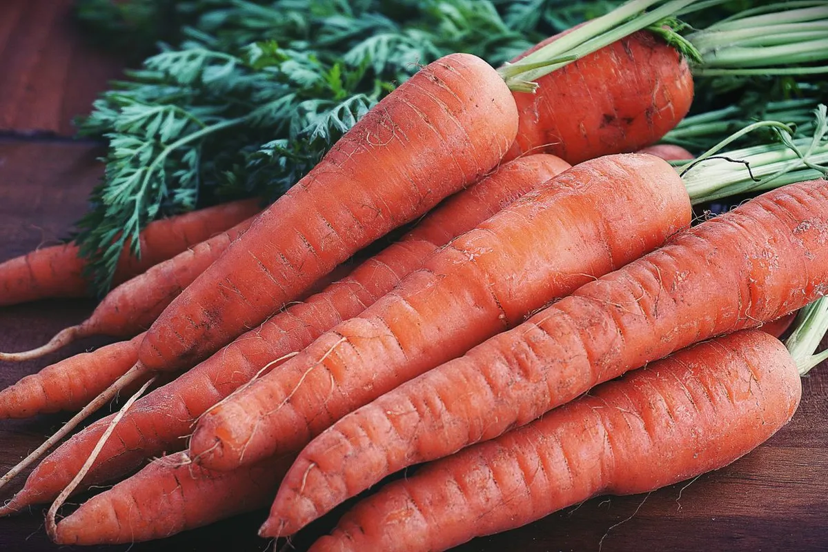 Carrot