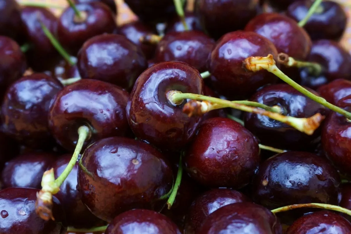 Cherry
