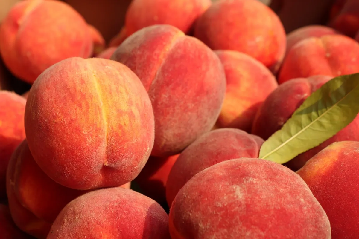 Peach