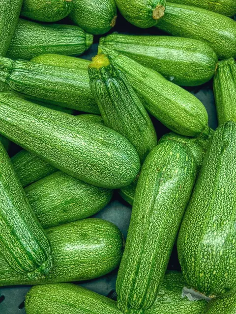 Zucchini