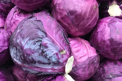 Red Cabbage