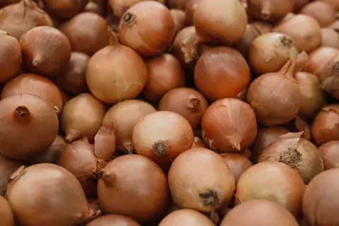 Dry Onion