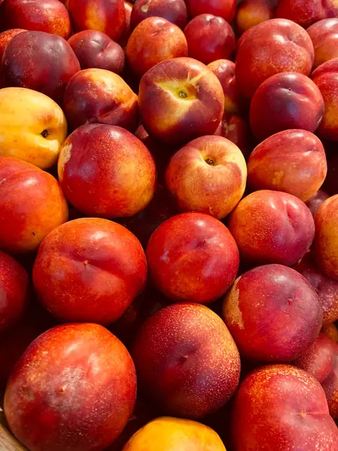 Nectarine