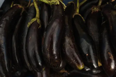 Eggplant
