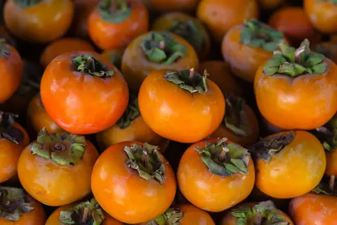Persimmon