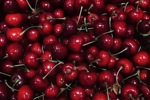 Sour Cherry